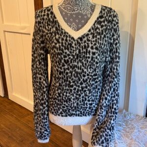 Loft Soft Leopard Print V-Neck Sweater